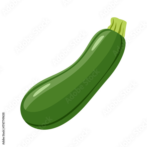green zucchini icon vegetable illustration
