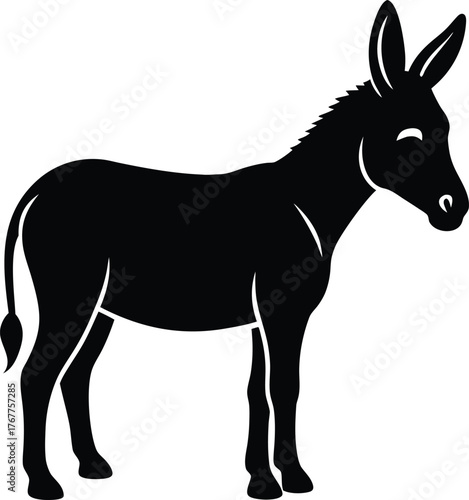 donkey isolated on white background