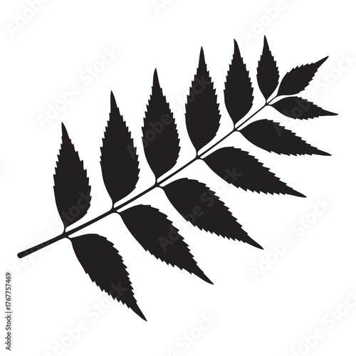 Black silhouette of a fern frond with serrated leaves on a white background leaf