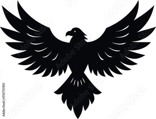 eagle vector illustration