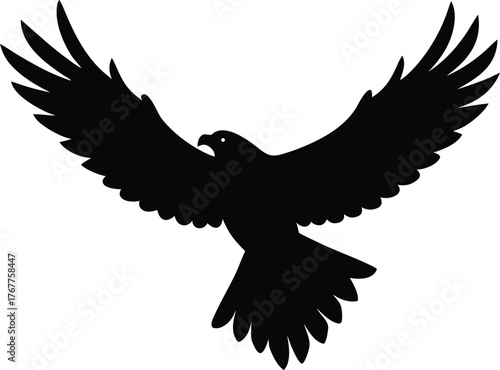 eagle vector illustration