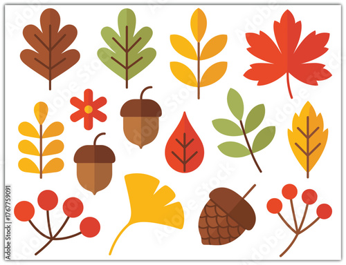 Autumn Leaves and Harvest Fruits Vector Set with Seasonal Elements for Fall Design, Thanksgiving Decorations
