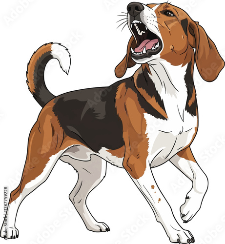 finnish hound dog barking aggressive alert vector illustration