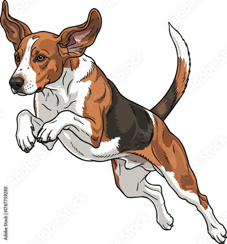 finnish hound dog leaping energetic vector illustration