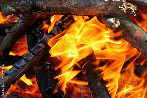 Burning firewood and coals of a fire close up