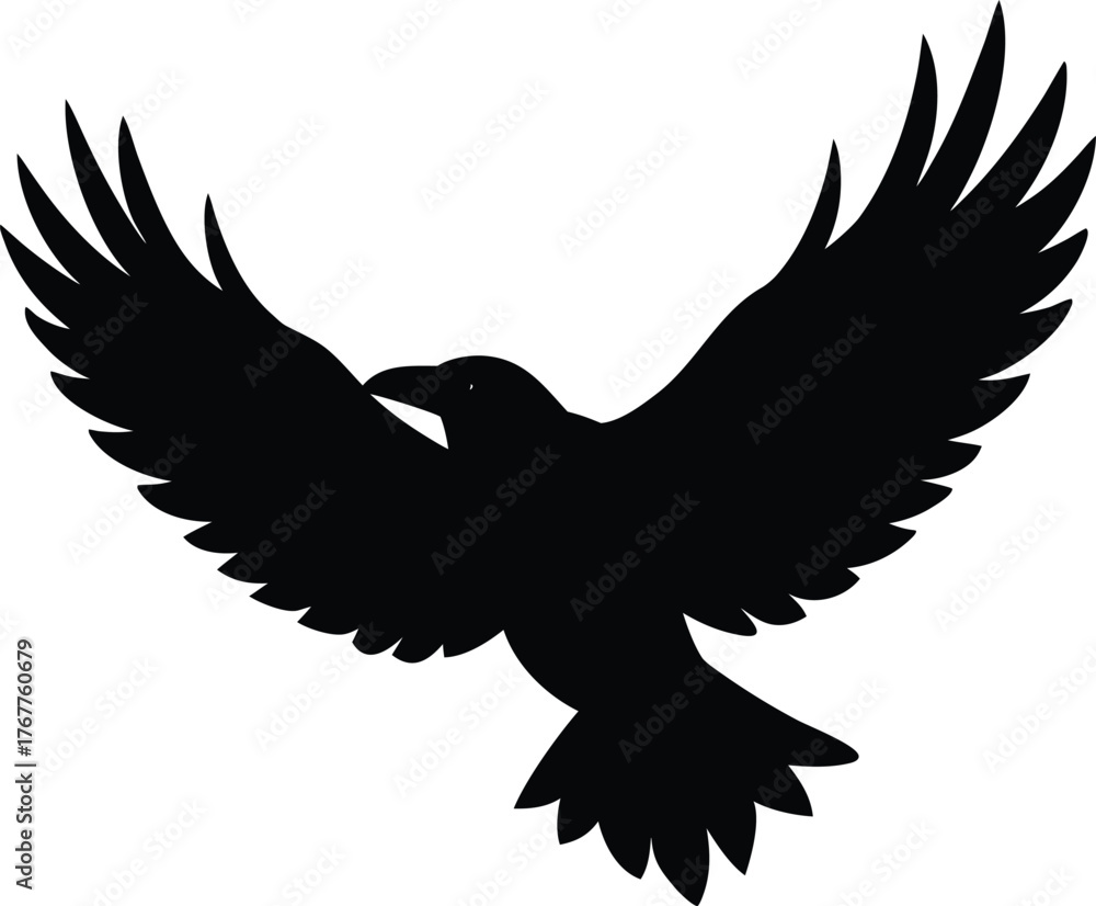 Fototapeta premium eagle vector illustration