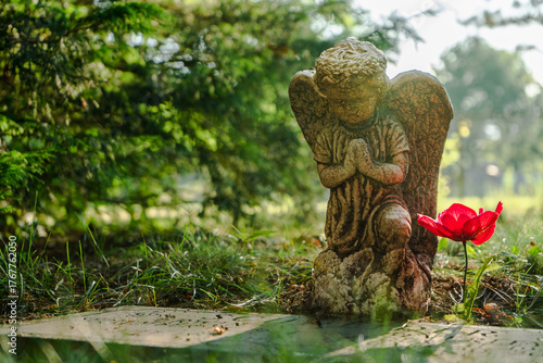 Fototapeta Baby Angel Statue Praying Beside Grave With Poppy Flower