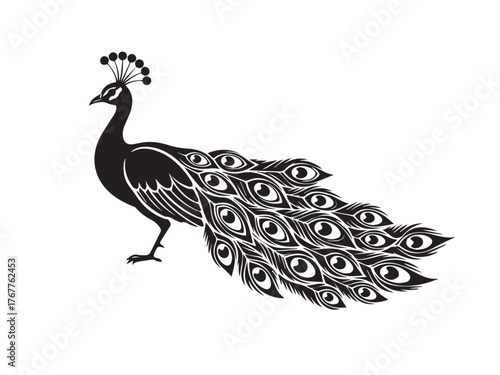 Elegant peacock illustration isolated on white background, showcasing intricate details of its plumage and graceful posture, perfect for adding a touch of sophistication
