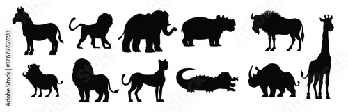  collection of African wild animals vector cartoon illustration 