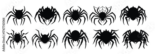Set of Cartoon creepy spiders isolated on a white background. Concept of Halloween, arachnid, creepy creature, scary monster, colorful insect. Print, design element, illustration. Clip art