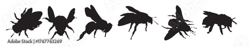 bee silhouette vector