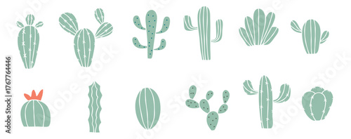 Set of cacti vector illustration