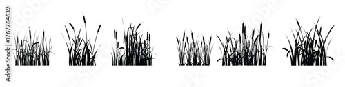 cattails silhouette vectors