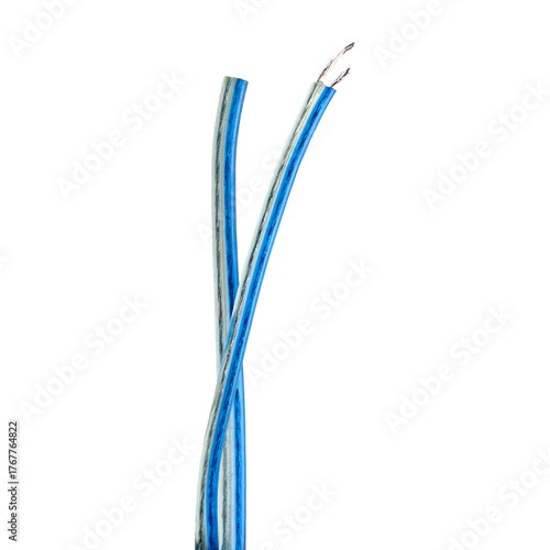Slika na platnu Exposed, twisted ends of blue and silver speaker wire isolated on a white background