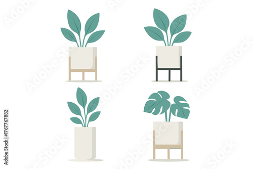 Four stylish indoor plants including Monstera in contemporary white pots on wooden and metal stands