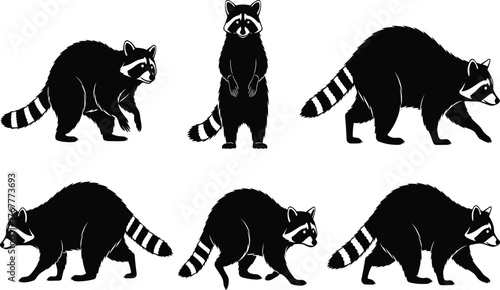 Collection of Raccoon animal silhouettes, featuring various poses including standing, walking, and rearing up, symbolizing wildlife, nature, and nocturnal woodland creatures.