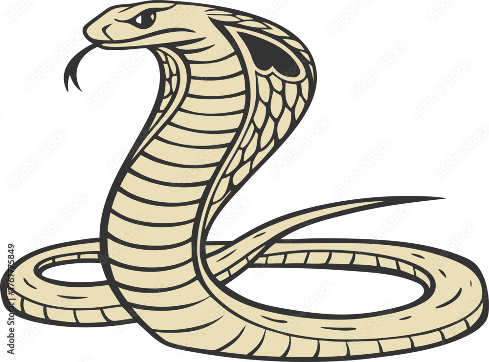 Fototapeta premium Snake graphic design | Dangerous wildlife reptile element