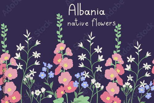 Wild flowers background. Alcea biennis, Draba verna, Arabis recta, Ornithogalum pyrenaicum, Myosotis arvensis