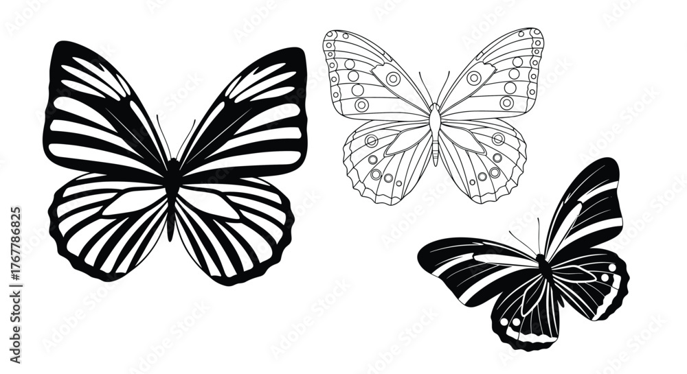 Fototapeta premium Three diverse butterfly illustrations in black and white ink, featuring striped and patterned wings.