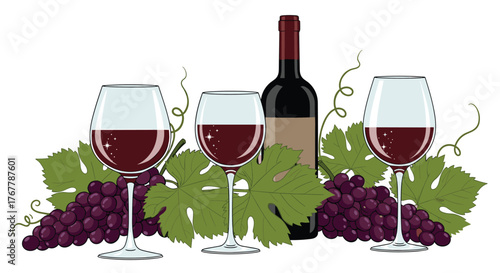 Illustration of a bottle and three glasses of red wine with grapes and leaves.