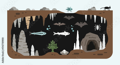 Cave ecosystem illustration showcasing diverse creatures and geological formations.