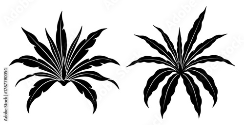 Two leaf arrangements, featuring symmetrical and radial designs