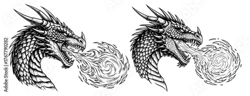 Two dragon heads, breathing fire with intricate scale and horn details