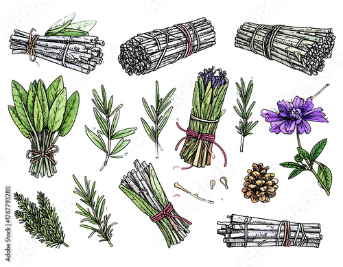 Botanical illustration of herbs & botanicals tied into bundles against a black background