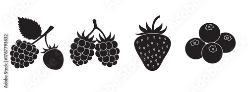 Collection of stylized black and white fruit icons. Various black fruit icons including apple, blackberry, mangosteen, strawberry, pear on a white backdrop, vector illustration.