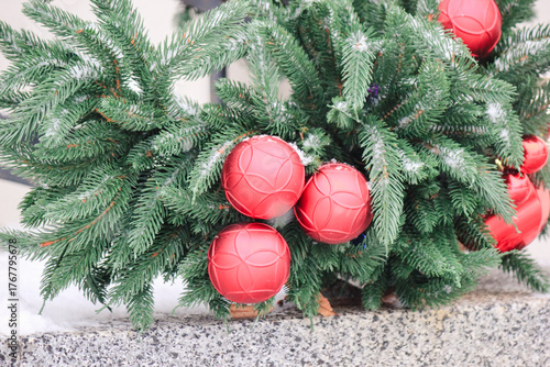 Three red Christmas ornaments nestled in snow-dusted fir branches. Outdoor festive winter holiday decor
