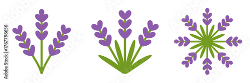 Lavender botanical clipart set, hand drawn stems and buds, purple herb bouquets, aromatic floral elements, wedding design collection