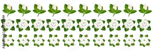 Leafy garland divider, seamless border of small green clovers, cute floral trim, decorative pattern, vector ornament, transparent background