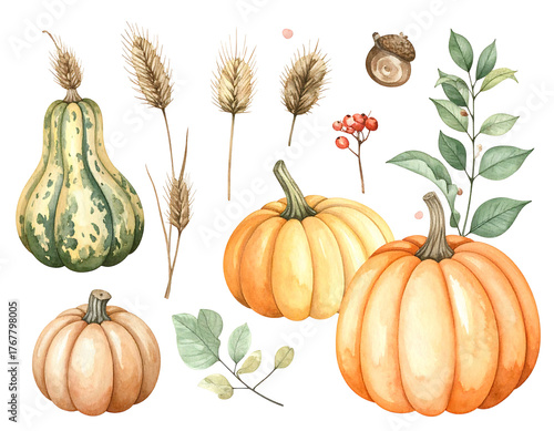 Autumnal arrangement of pumpkins, gourds, wheat, berries, an acorn, and leaf sprigs, rendered in watercolor style