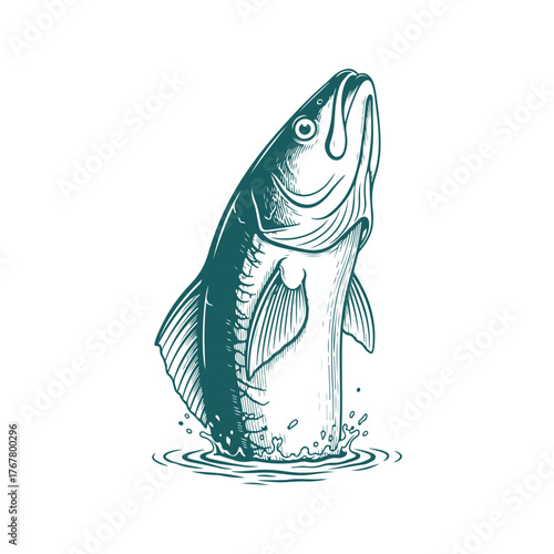 Carp fish breaching the water, Handdrawn linework woodcut or engraving vintage texture illustration