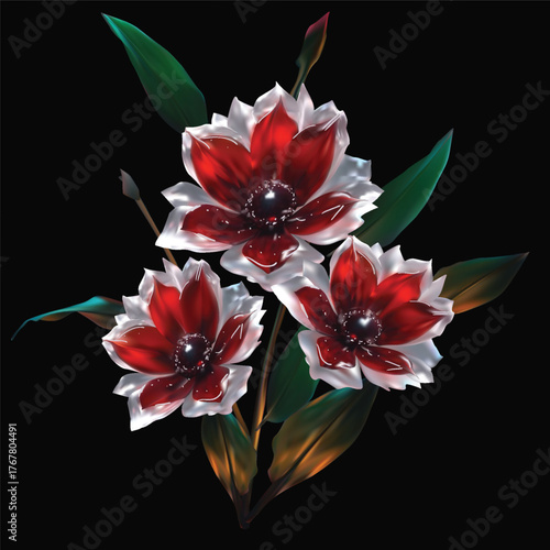 dark red flowers with light edge isolated on black background