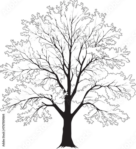 dense tree black outline isolated on white