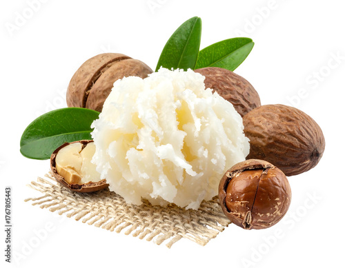 Close-up of shea butter, nuts, green leaves on burlap cloth against a black background in warm light