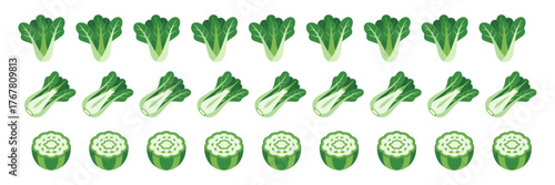 Bok choy border pattern, growth stages row, leafy greens with sliced stems, vegetable divider, seamless design, vector illustration