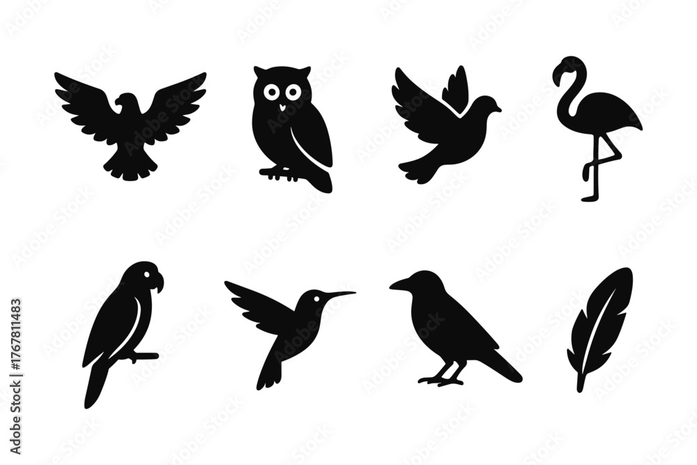 Obraz premium Silhouette bird icons set with various species in simple black style