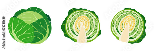 Cabbage cross sections set, leafy rounds with stem core, fresh produce icons, cooking ingredients, vector illustration, isolated