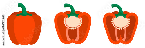Orange bell pepper graphics, whole pod, halved with seeds, cooking ingredient, farmers market style, healthy vegetable vector