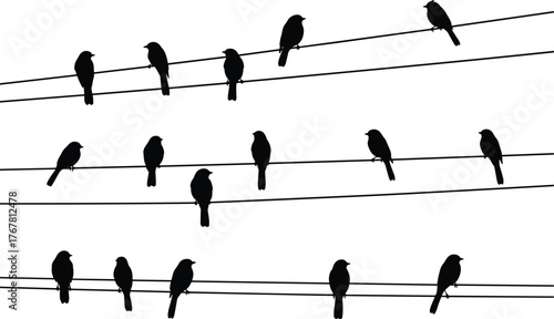 Bird silhouettes, perched on wires, musical staff concept, minimal design, nature illustration, flock resting, shadow art, creative sketch, harmony, vector graphic