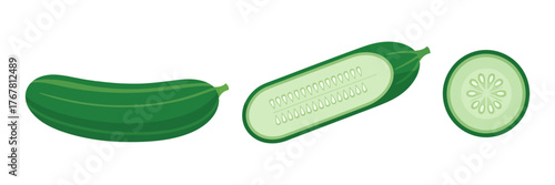 Cucumber collection, long whole cucumber, cut half, seed pattern slice, salad ingredient icons, minimal healthy diet vector