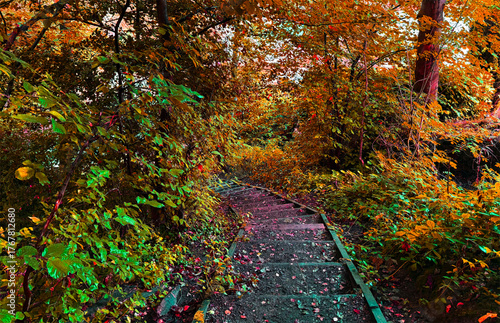 A woodland pathway meanders beneath trees dressed in vivid autumn tones, emerald, amber, and ochre. The air is hushed, the mood gently beckoning in Ben Rhydding, Ilkley, UK