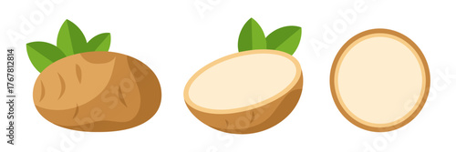 Potato vegetables set, whole tuber with leaf, cross section slices, rustic kitchen ingredient icons, healthy food vector