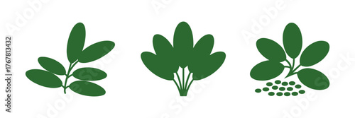 Herbal leaf set with seeds, assorted foliage shapes, natural culinary herbs collection, organic wellness theme, botanical vector design