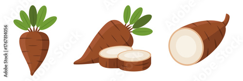 Cassava root icons, whole tubers with leaves, peeled slice cross section, tropical staple vegetable, farm produce vector