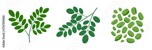 Herb sprigs assortment, compound leaf clusters, culinary greenery options, natural seasoning bundle, organic food design, botanical vector set