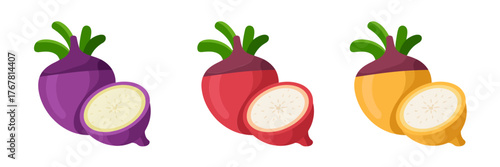 Colorful turnip trio, purple red yellow bulbs, bright leaves, fresh farm produce, cooking ingredient icons, clean vector