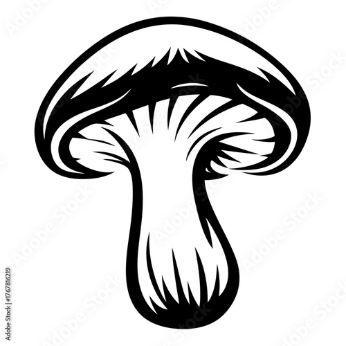 Stylized mushroom cap and stem drawing forest foraging nature